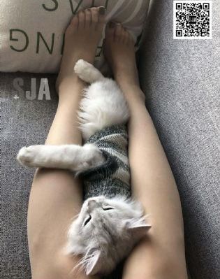 放弃吧亚当君