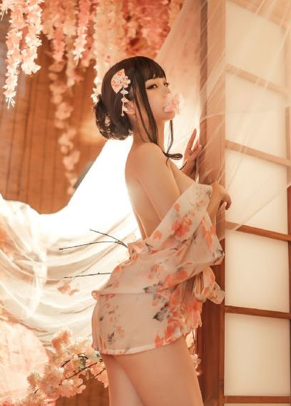 喜爱夜蒲全集