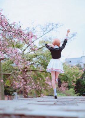 半是蜜糖半是伤电视剧免费完整版