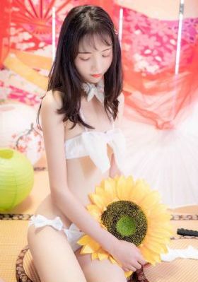 文豪野犬第一季免费高清视频