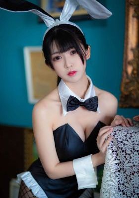 秘密潜入搜查官